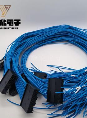 LOTES得意/嘉泽新能源汽车线BMS插头线束 AAUS01AS0-024K01 24PIN