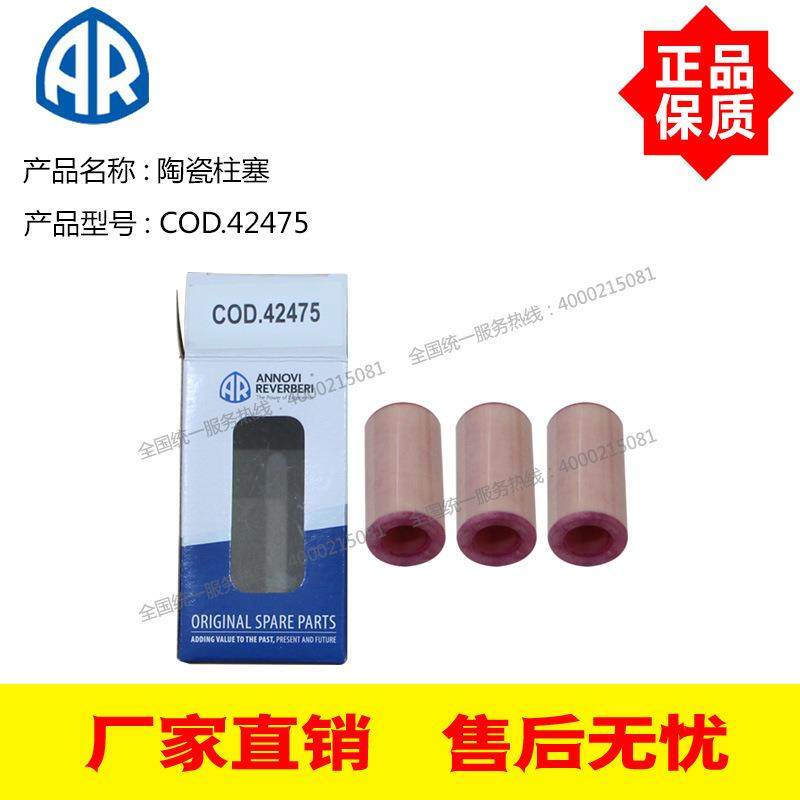 意大利AR原装进口高压泵RC-M02.10/04.10配套陶瓷柱塞COD.42475