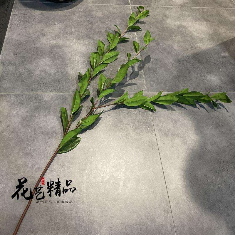 仿真月桂叶玉兰叶金桔叶单只摆放花艺日田园瓣叶豆瓣叶手感胶插花