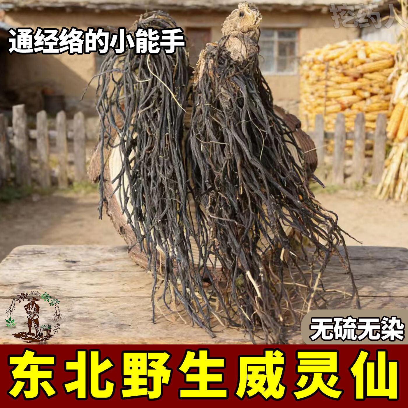 正宗东北野生威灵仙中药材正品泡酒药包可磨粉打纯正通经络纯天然