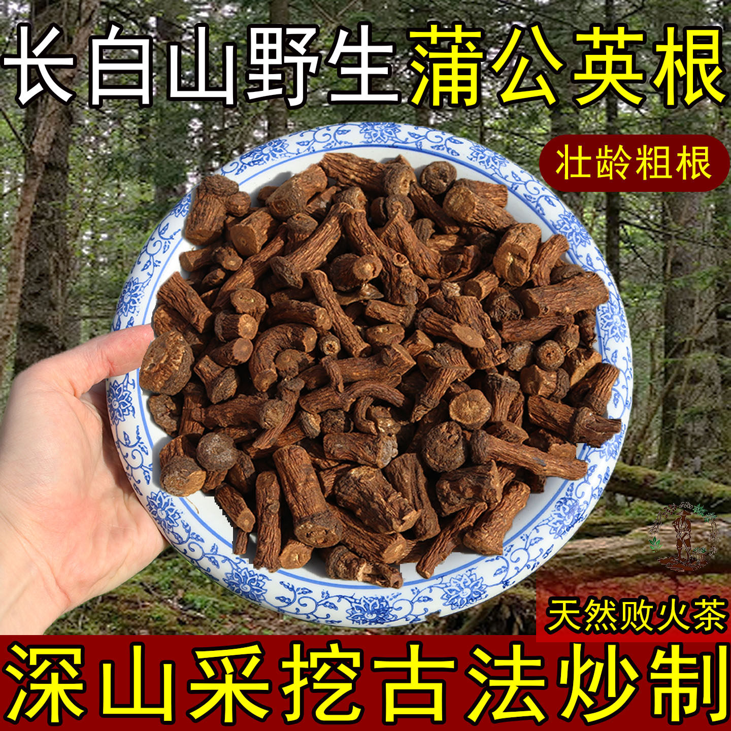 长白山野生蒲公英根正品特级野生炒熟天然茶中药新货婆婆丁纯天然