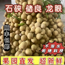 【现货头茬果】广东石峡储良龙眼新鲜水果当季桂圆茂名高州顺丰