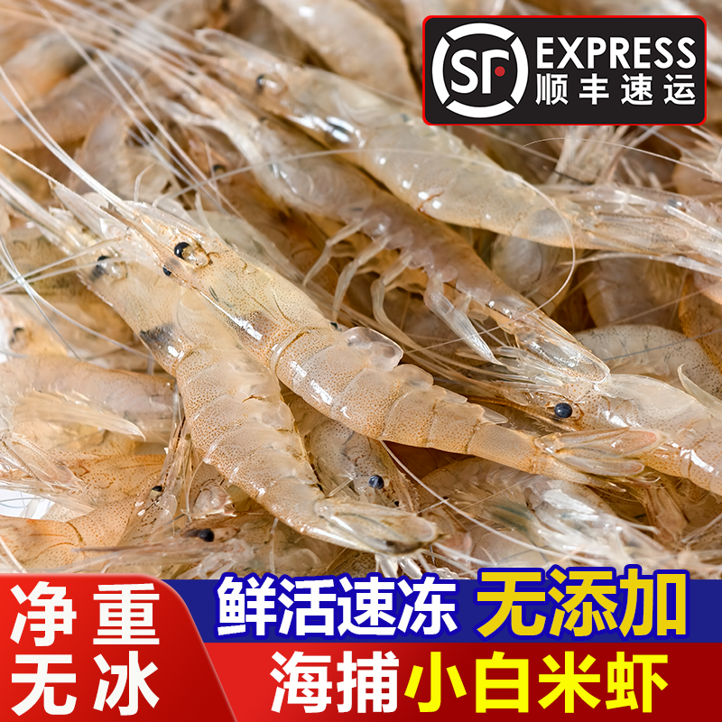 海捕小白虾连云港海白米虾活虾速冻净重无冰小虾壳薄肉嫩顺丰包邮