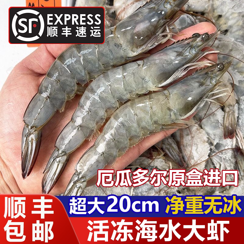 厄瓜多尔大虾鲜活速冻超大海虾特大对虾青虾基围虾盐冻锁鲜白对虾