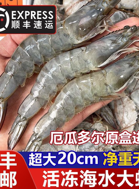厄瓜多尔大虾鲜活速冻超大海虾特大对虾青虾基围虾盐冻锁鲜白对虾