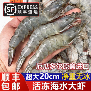 厄瓜多尔大虾鲜活速冻超大海虾特大对虾青虾基围虾盐冻锁鲜白对虾