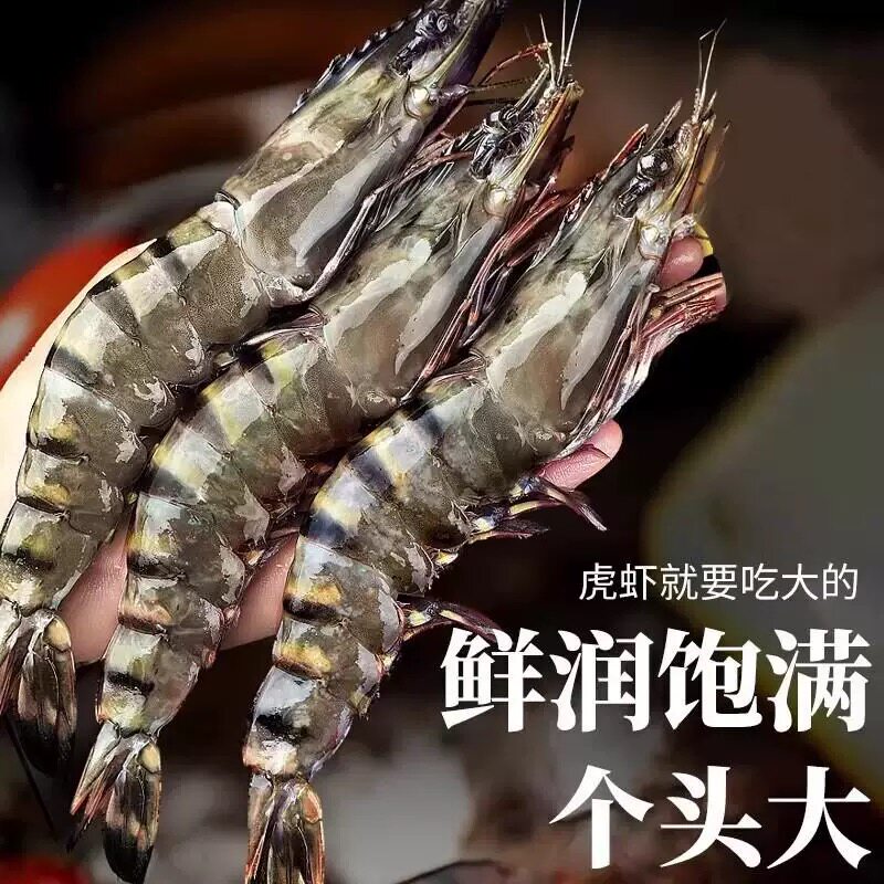 【小号30/40】活冻黑虎虾无冰鲜活冷冻一盒3斤60只以内顺丰包邮
