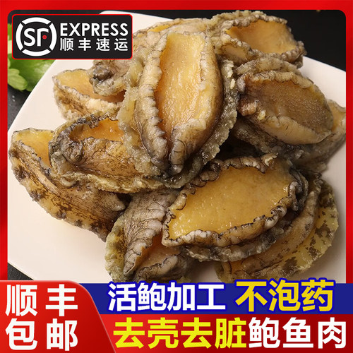 新鲜鲍鱼肉去牙去脏处理活鲍加工海鲜食材顺丰包邮
