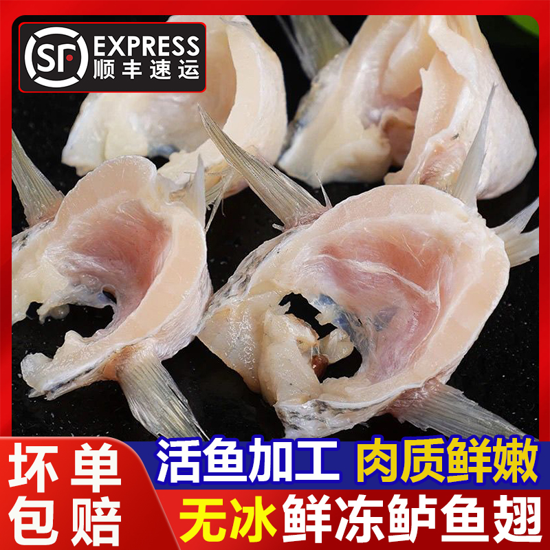 鲜冻鲈鱼翅鲈鱼鳍活鱼加工鱼下巴净重无冰商用食材250g顺丰包邮