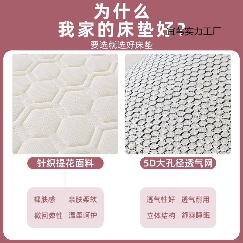 床垫子乳胶垫宿舍学铺生床垫租房加褥厚子软垫家用打地神器NNI单