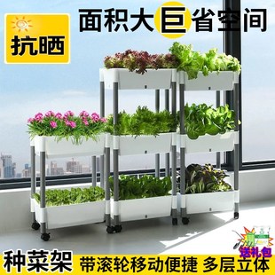 植卉居家庭阳台种菜神器懒人自吸水种菜盆阳台多层加厚蔬菜种植盆
