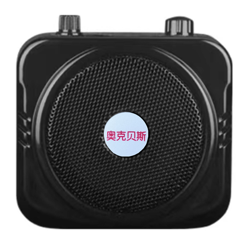 葫芦丝口琴二胡笛子中阮板胡长笛乐F器户外教学叫卖导游便携扩音