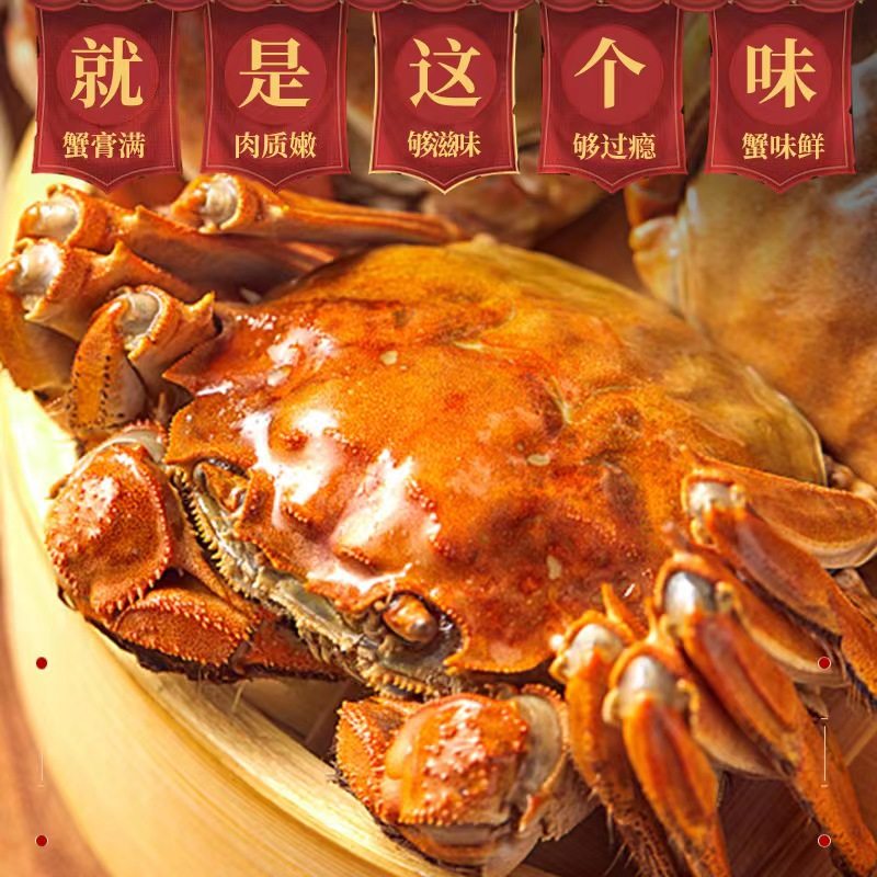 【六月来了】阳澄湖大闸蟹公蟹4.0两/只,水产肉类/新鲜蔬果/熟食,大闸蟹,淘宝优惠券,粉丝福利购,淘宝优惠卷