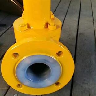 衬氟安全阀 全启式 耐腐蚀安全泄压阀 16C 衬氟安全阀A42F46