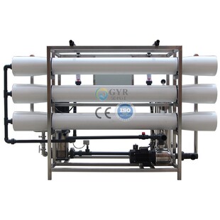 全自动一级RO反渗透纯水设备秒杀 6t吨h小时食品饮料用纯净水装 置