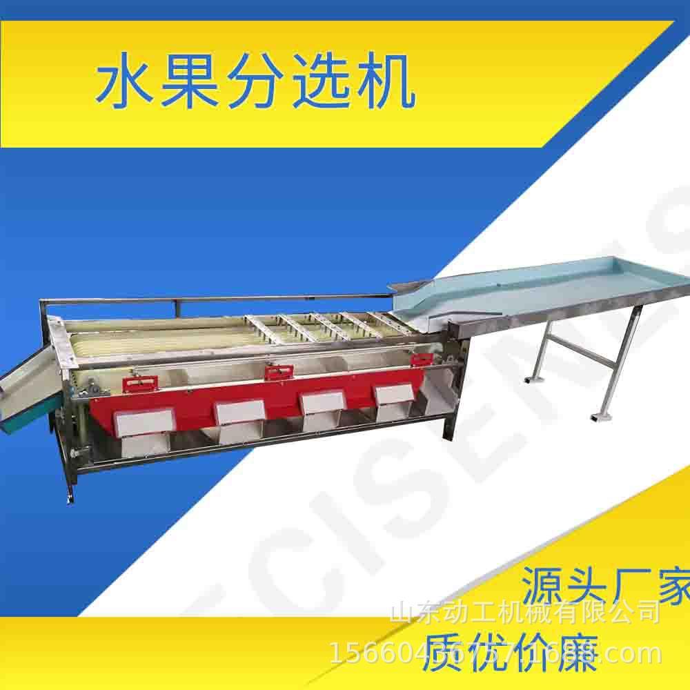 商沃柑分选DEL机 皮带式枣选果 大大型核桃用分级机机