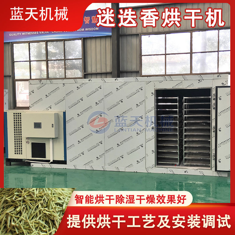 大型迷迭香烘干机 艾菊海之露精灵叶煤改电烘干房 迷迭草烘干设备