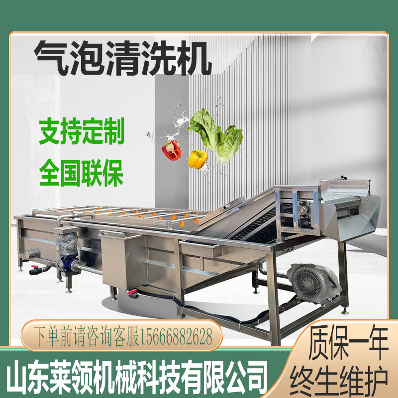 全自动果蔬去泥设备 小型翻浪式小龙虾清洗线 商用油菜气泡清洗机