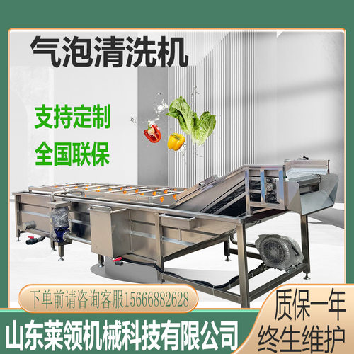 全自动果蔬去泥设备 小型翻浪式小龙虾清洗线 商用油菜气泡清洗机