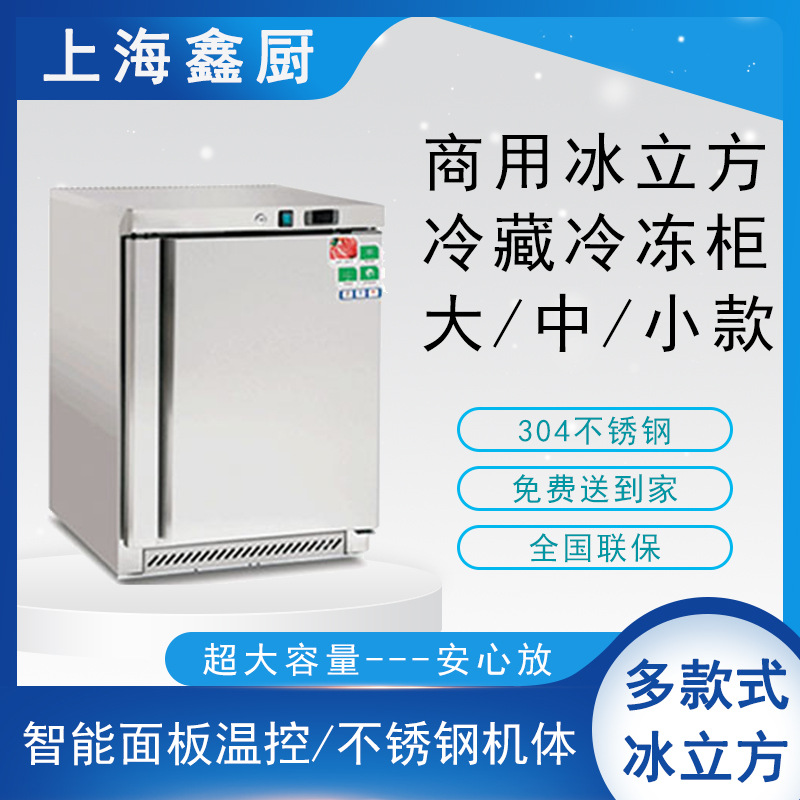 商用冰箱立式高身冷藏冷冻柜130L330L660L酒店厨房商用冰柜低温柜