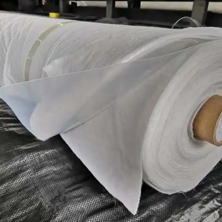 定制膜生产复合人ICY工湖蓄池水库河道一膜布一两布水一膜复合土