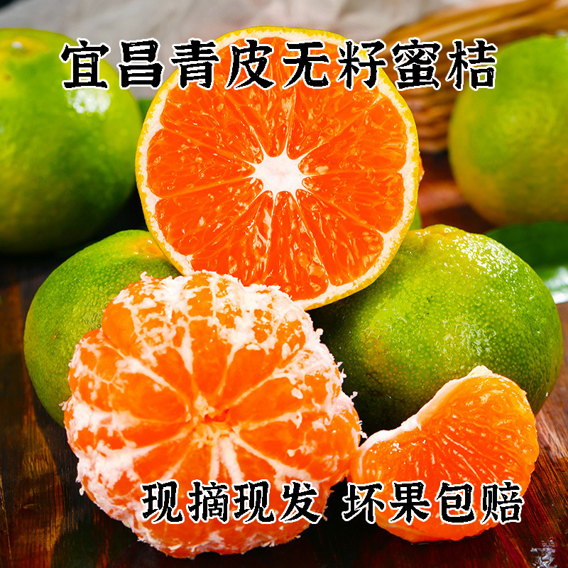 湖北宜昌当季现摘鲜蜜桔