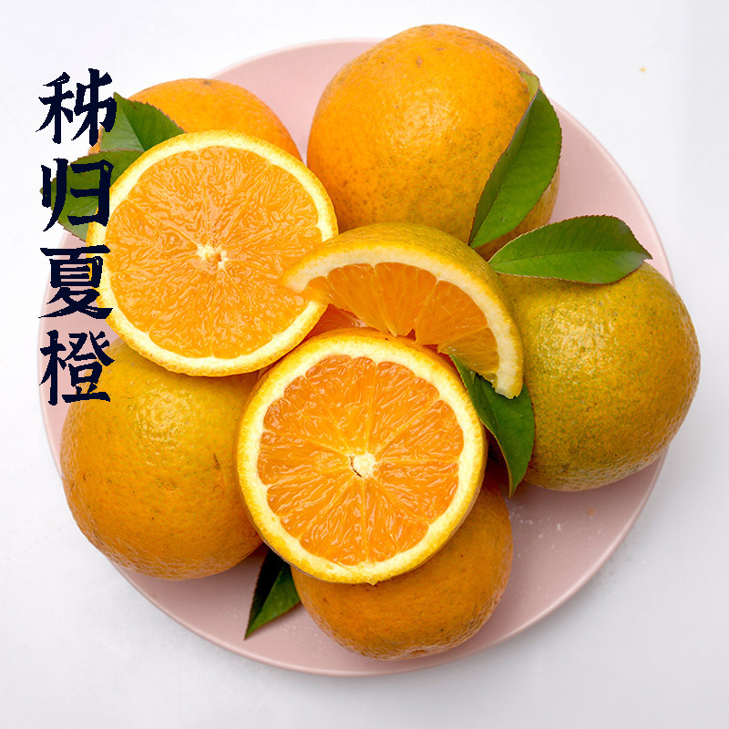 湖北秭归夏橙果园现摘现发