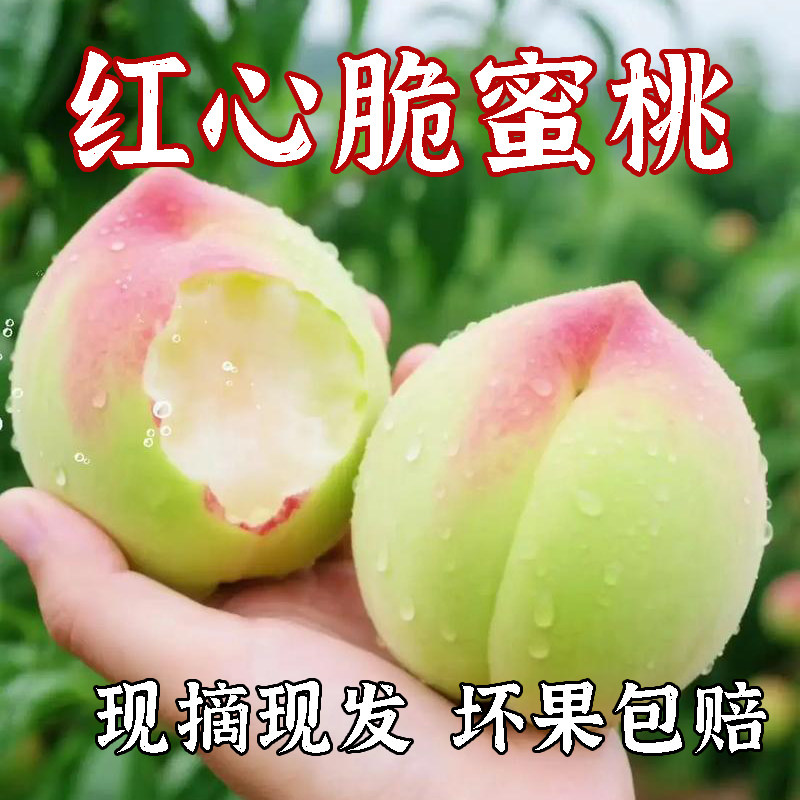 湖北三峡特产青皮脆蜜桃新鲜水果当季现摘现发