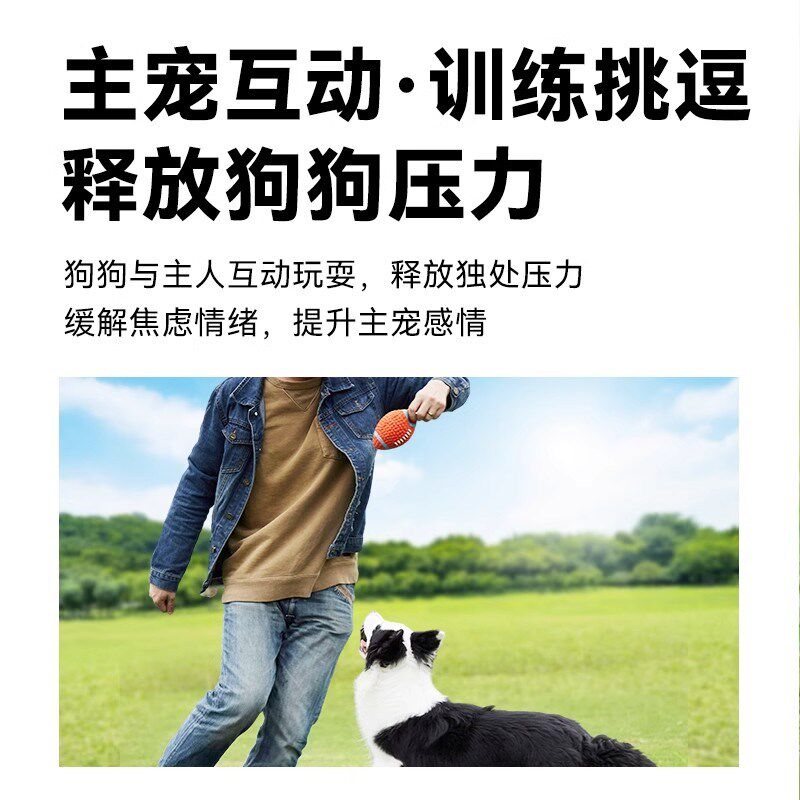 狗狗玩具球抛捡互动衔取橄榄球足球E耐咬磨牙发声解闷消耗体力逗