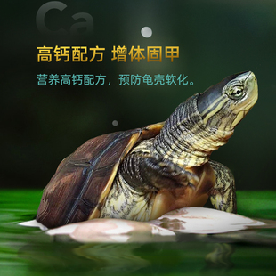 龟粮石金钱龟乌龟饲料石龟专用龟食南石龟幼龟开R口龟饲料食物龟