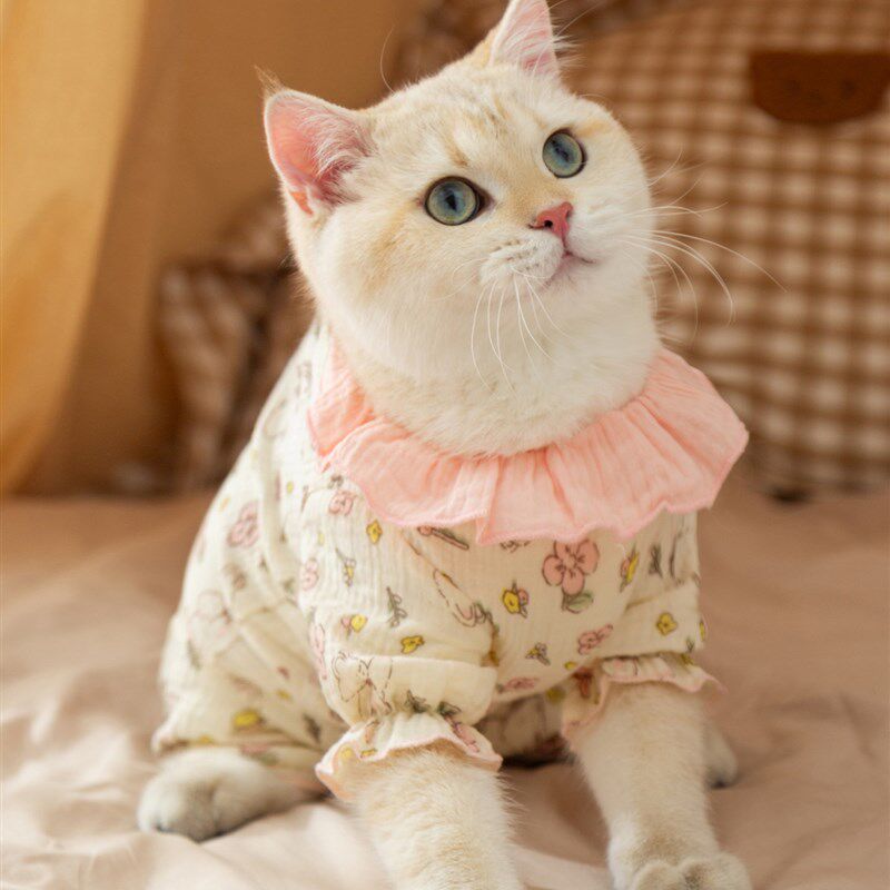 猫咪护肚衣棉纱公主花边包肚衣秋冬季布I偶猫咪衣服居家宠物四脚