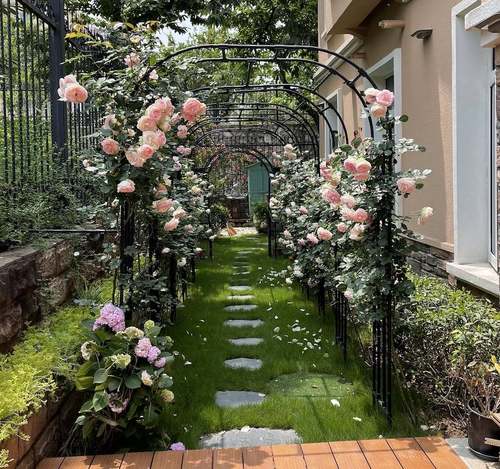 加粗包塑钢管拱形爬藤p架拱门花架园艺支架户外庭院花园月季葡萄