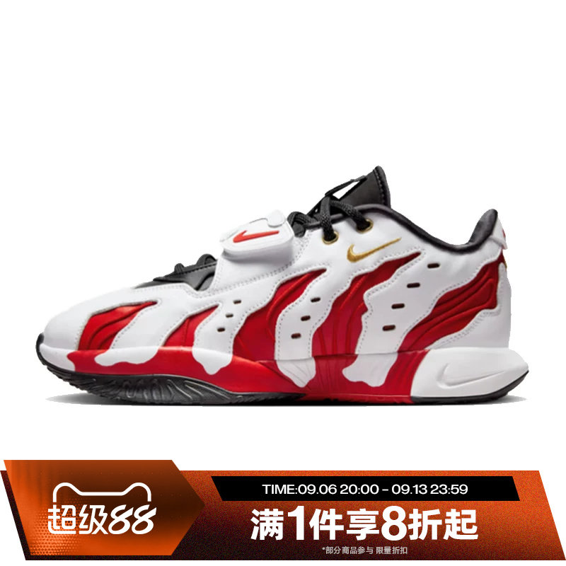 滔搏NIKE耐克男鞋詹姆斯户外实战运动训练篮球鞋HV1222-100