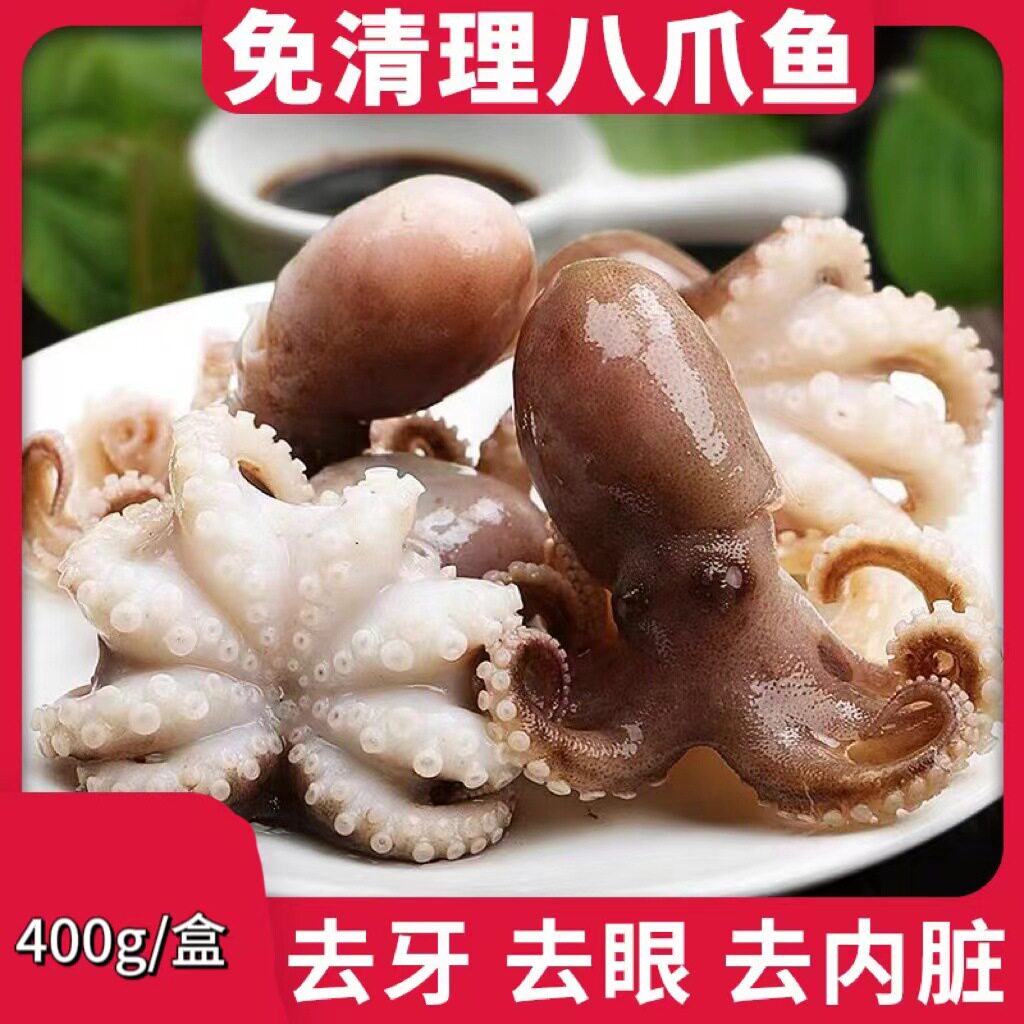 于小二海鲜小八爪鱼小章鱼花火锅食材刺身爆炒海鲜新鲜美味八爪鱼