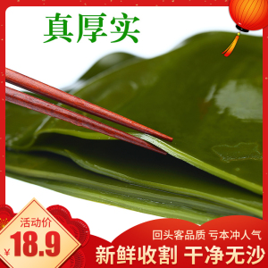 于小二特产海带头盐渍海带头 凉拌海带厚长块高品海菜火锅嫩海菜
