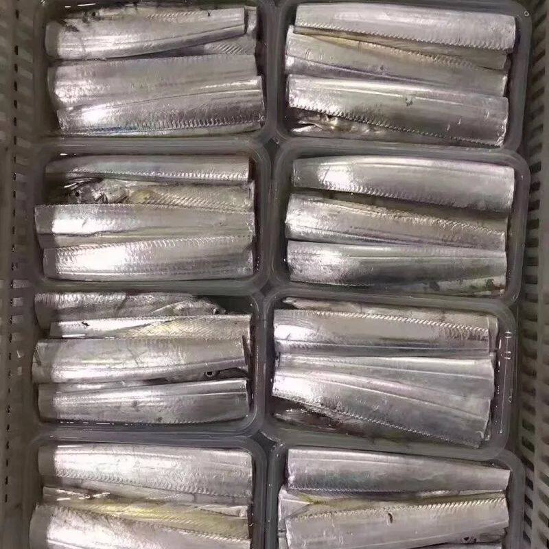 于小二海鲜野生带鱼本港400克/盒工厂直供新鲜海味冷冻海鲜礼品装