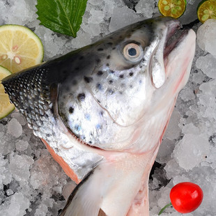 挪威三文鱼头无冰鲑鱼V型切鱼头商用海鲜三文鱼头一件