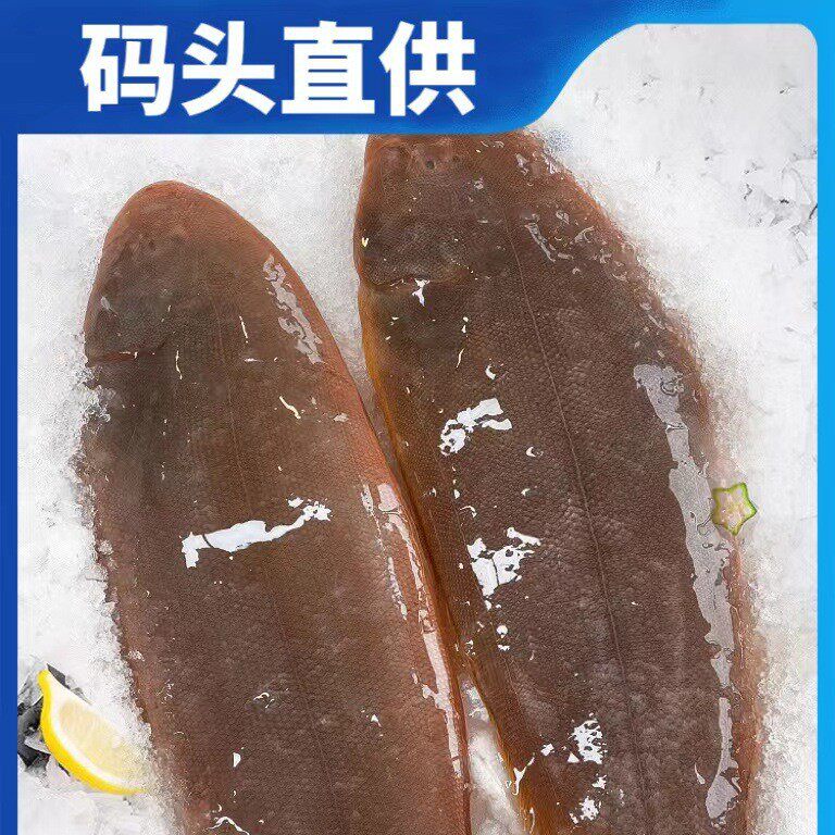 于小二片鱼野生龙利鱼渔船海捕鲜活船冻深海美味海鲜食材新鲜直达