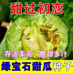 绿宝石甜瓜种子薄皮超甜香瓜种子春季四季脆瓜早熟高产香瓜籽