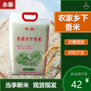 【厂家直售】永泰10斤农家乡下香米煮饭软糯长粒香大米优质大米