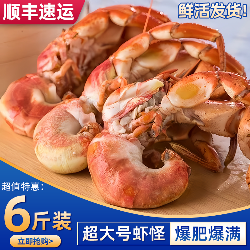 山东威海新鲜现捕虾怪鲜活大号