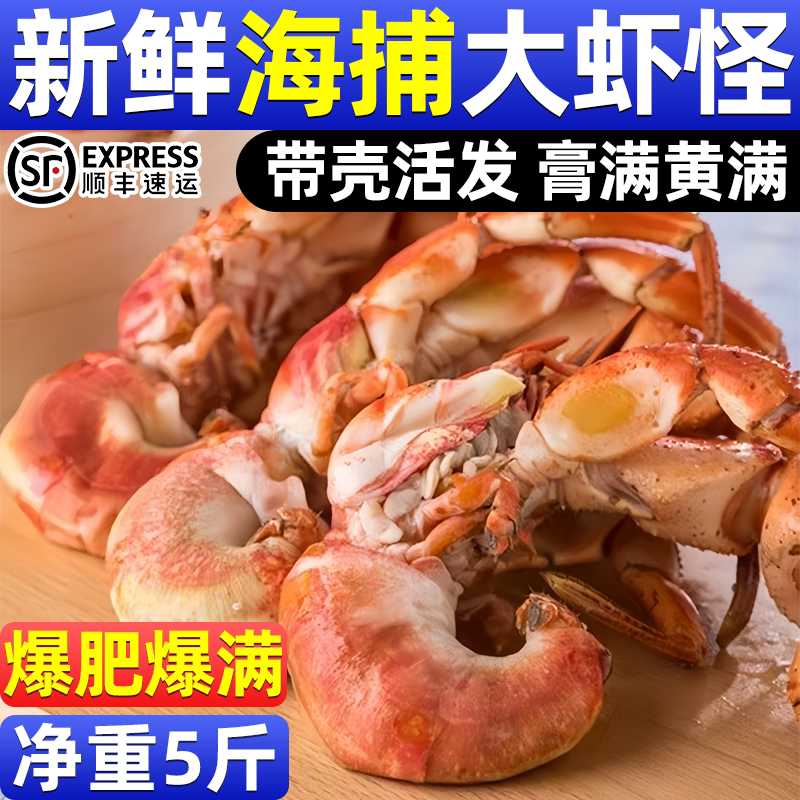 5斤海捕大虾怪爆肥过瘾