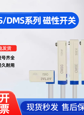 感应器传感器磁性接近开关DMSG CMSG CMSJ CMSH CMSE-020亚德客型