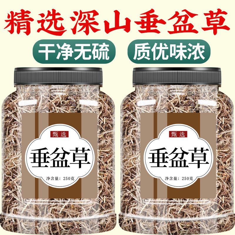 垂盆草中药材正品官方旗舰店药用500g中药泡水喝的功效与作用批发