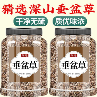 垂盆草中药材正品官方旗舰店药用500g中药泡水喝的功效与作用批发