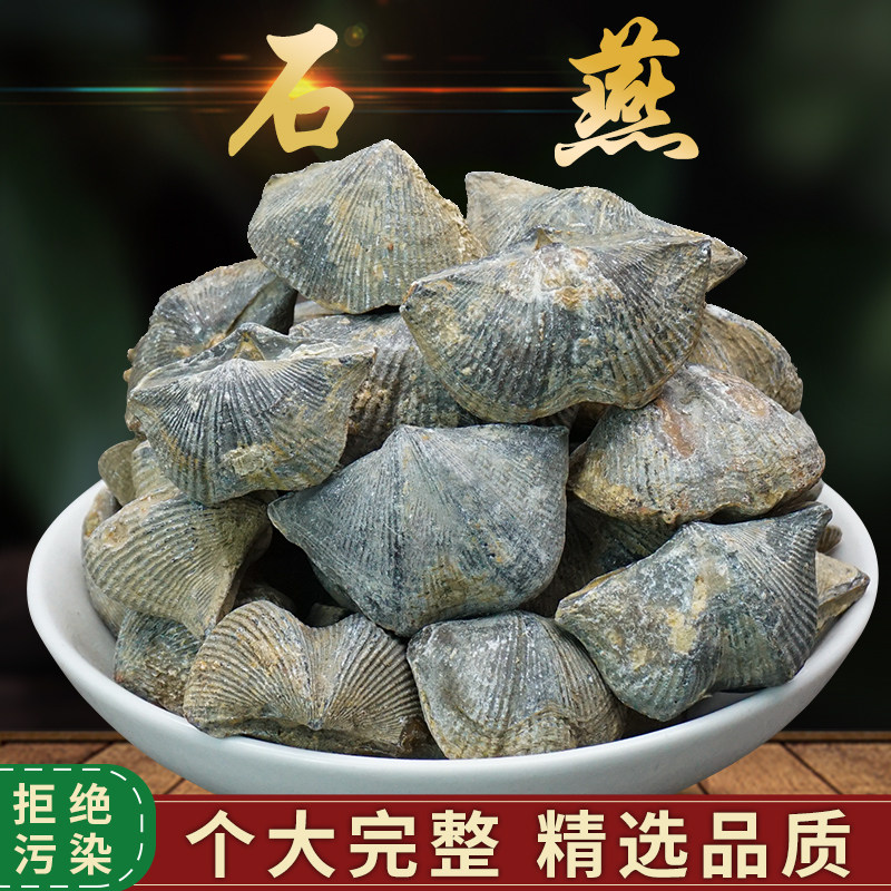 精选石燕子中药材正品矿石紫石英阳起石钟乳石磁石巅石燕银精石