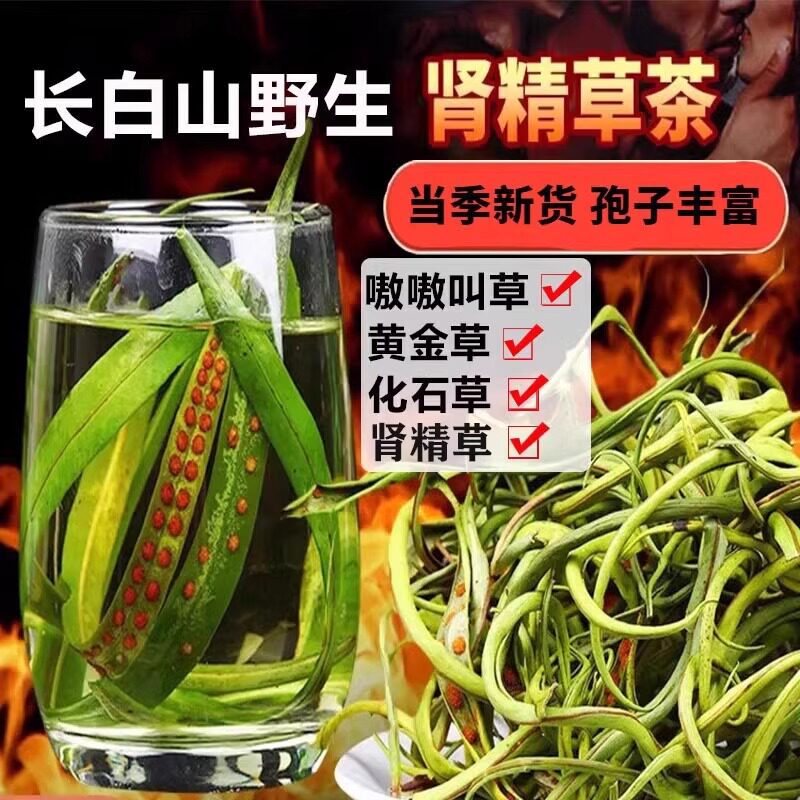 长白山黄金草正品嗷嗷叫肾精茶泡水喝野生肾精草中药材化石养生茶