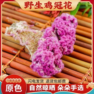 鸡冠花中药材500g白鸡冠花干花白色鸡冠花药用干货凤尾大红鸡冠花