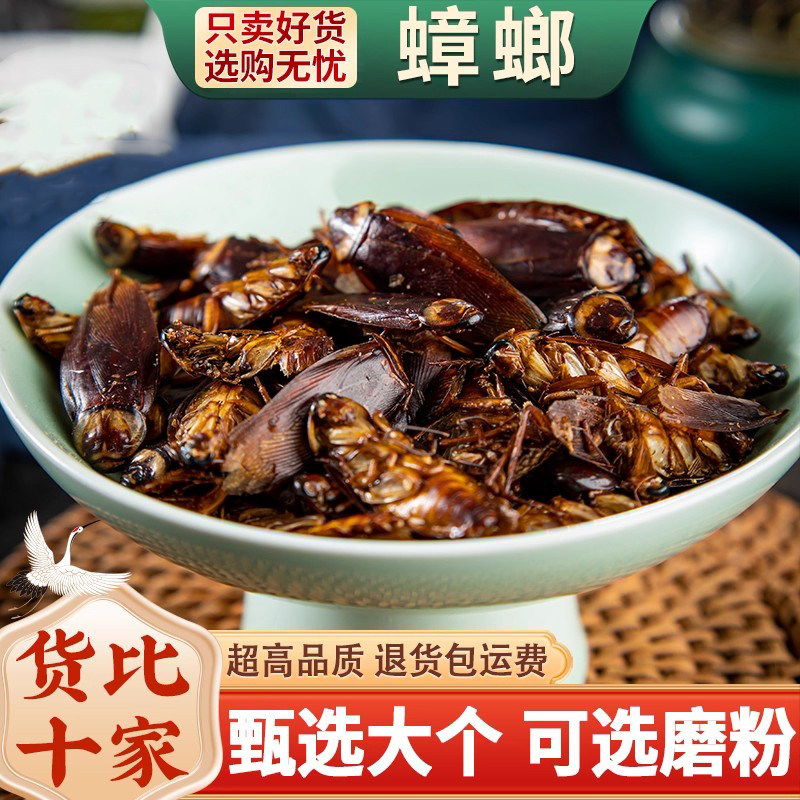 蟑螂中药材正品蟑螂干 偷油婆 药用蟑螂虫 可磨蟑螂粉 500g克包邮