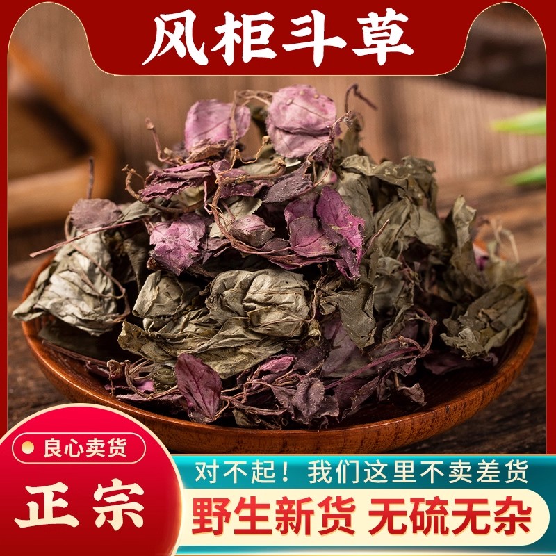 风柜斗草茶野生500克g正宗红杆小叶特级风鼓草风谷草风骨草楮头红